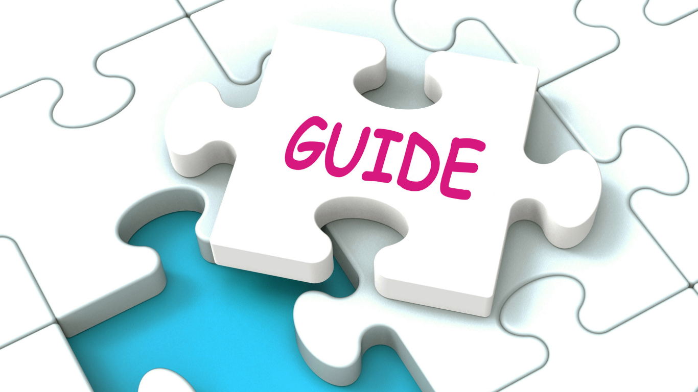 Complete Guide to Setting Up a 100% Foreign Subsidiary in India